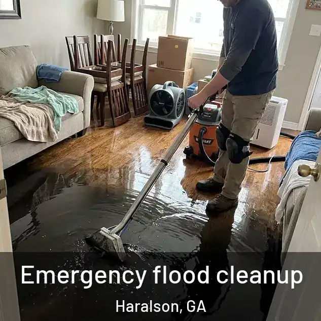  Emergency flood cleanup Haralson, GA