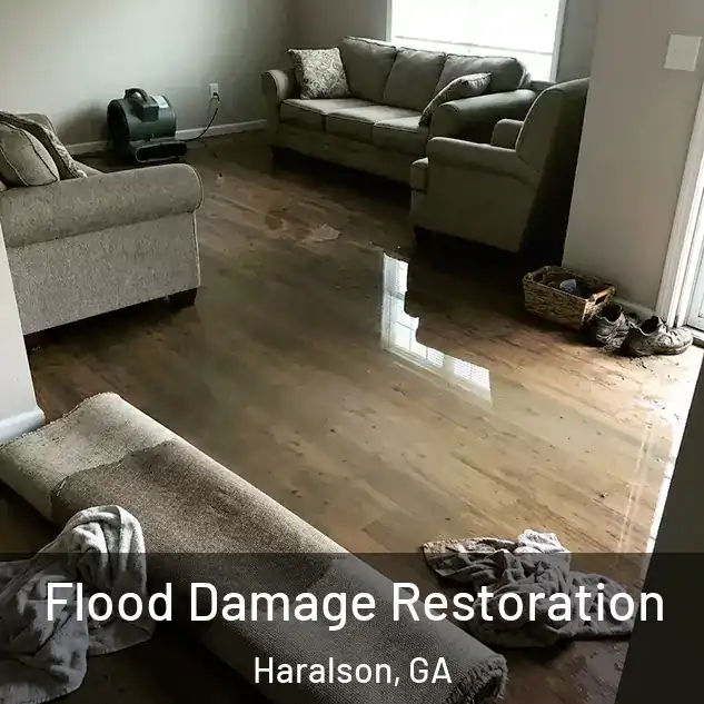  Flood Damage Restoration Haralson, GA