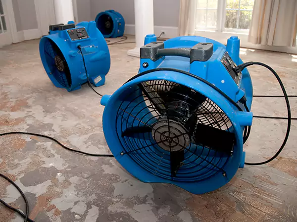 Water Damage Reconstruction in Haralson