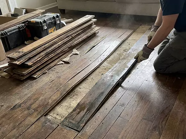 Water Damage Drying in Haralson