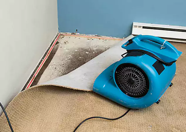 Your Water Damage Experts in Haralson, GA