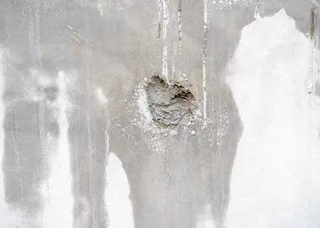 Your Mold Mitigation Solutions Partner in Haralson, GA