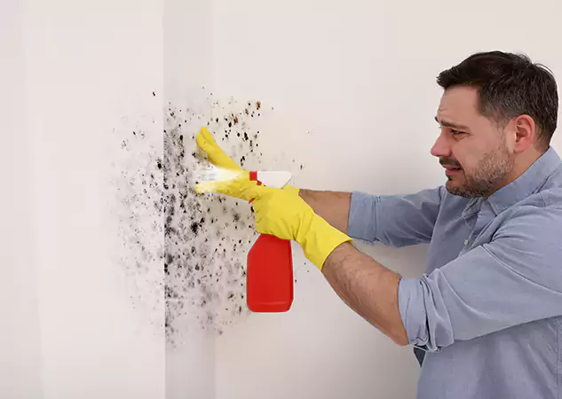 Your Water Mold Fire Restoration Partner in Haralson, GA