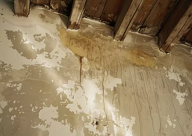 Your Trusted Restoration Company in Haralson, GA