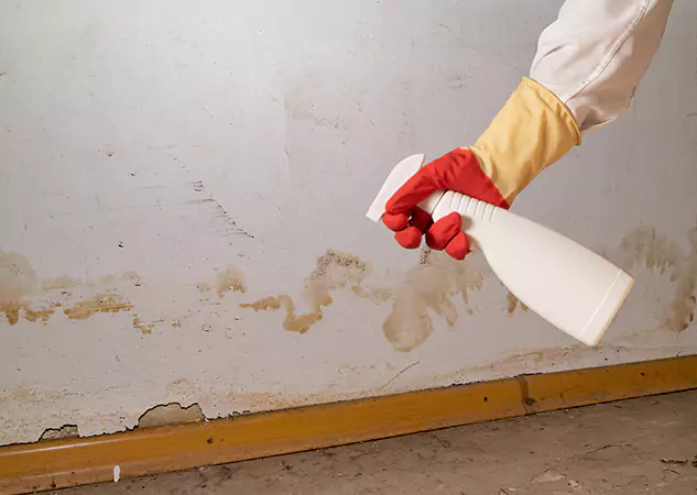 Your Water Restoration and Mold Remediation Specialists in Haralson, GA