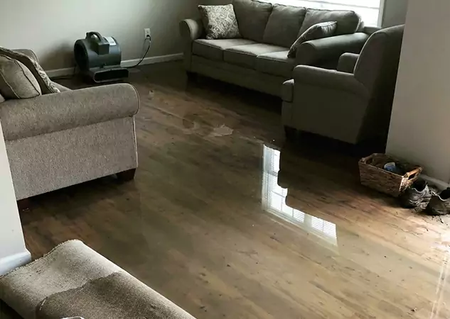Your Trusted Restoration Company in Haralson, GA