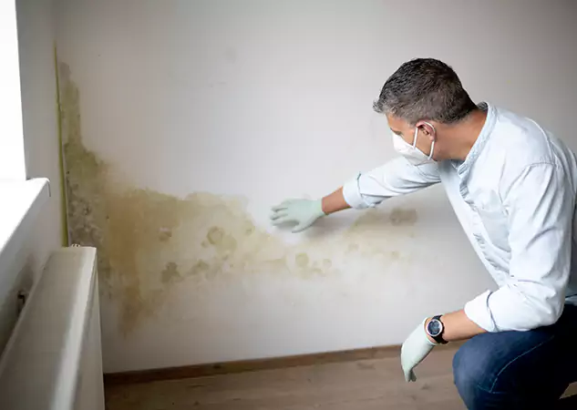 Reach Our Remediation Team Before Damage Grows in Haralson, GA!