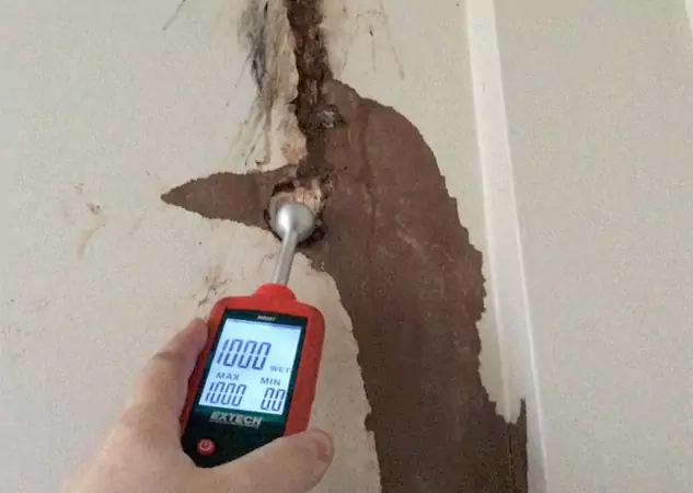 Your Water Damage Assessment Partner in Haralson, GA