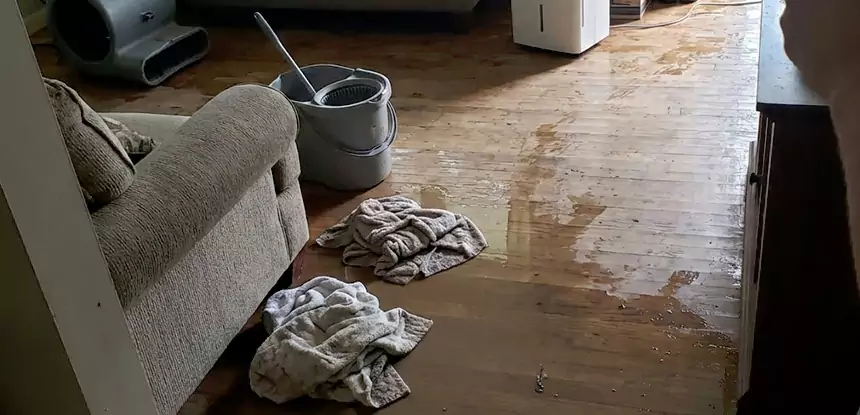 Professional Basement Water Remediation Services in Haralson, GA