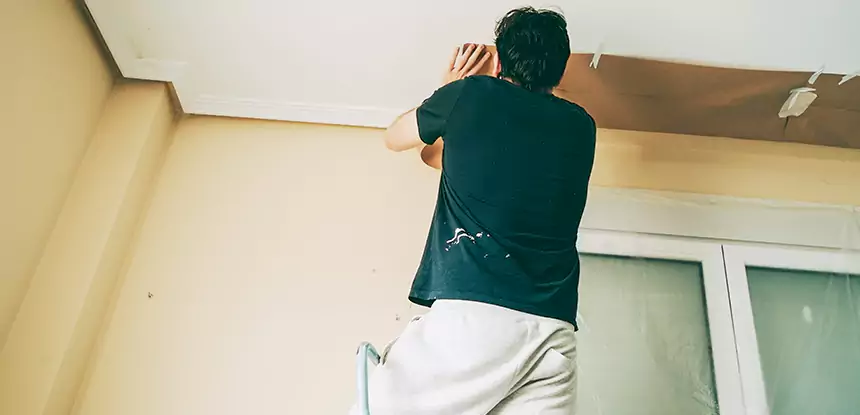 Ceiling Water Damage Repair in Haralson