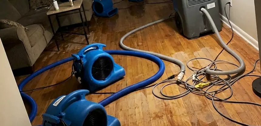 Basement Flood Restoration Services in Haralson