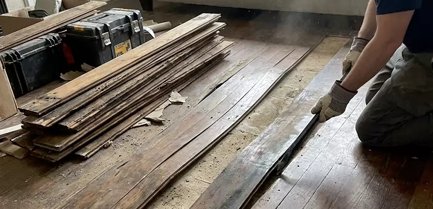 Wood Rot and Fungus Repair in Haralson