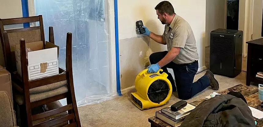 Carpet Water Damage Repair Haralson