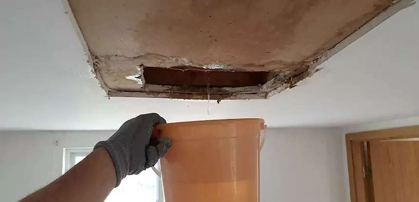 Ceiling Mold Repair Haralson 