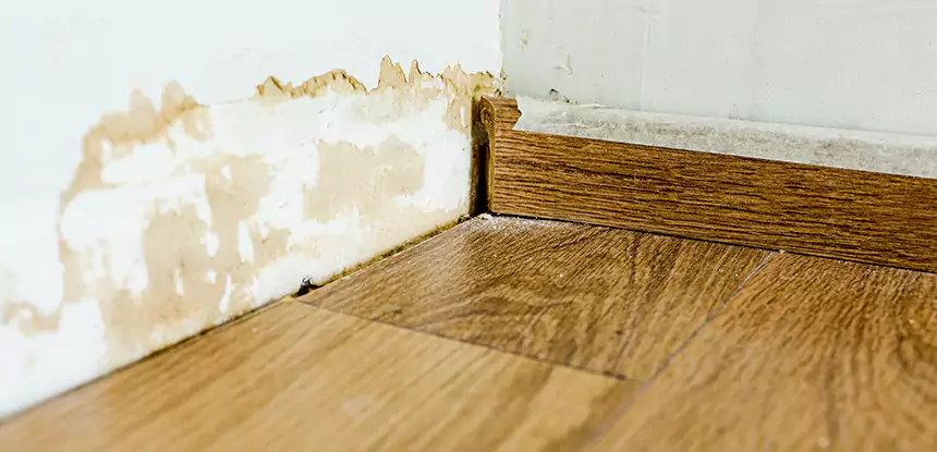 Professional Fix Water Damaged Wood Services in Haralson, GA