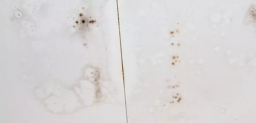 Professional Water Stain Repair Services in Haralson, GA