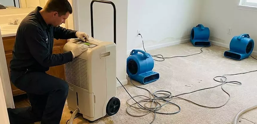 Professional Wet Carpet Removal Services in Haralson, GA