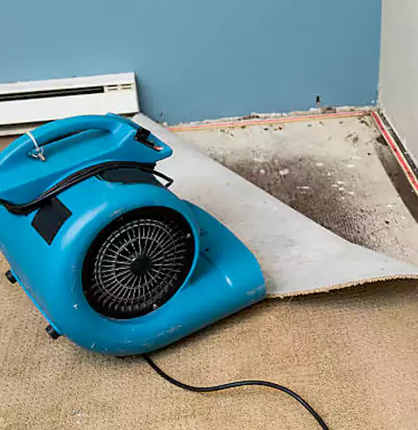 Why Haralson Trusts Haralson Restoration Pro for Carpet Flood Recovery?