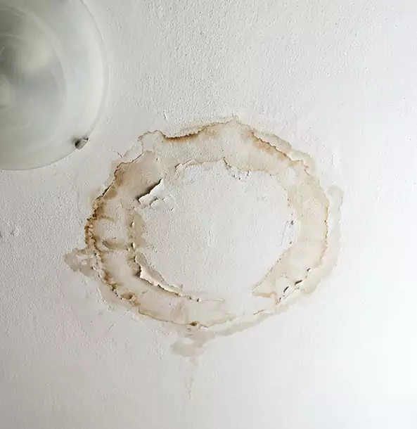 Why Haralson Property Owners Choose Haralson Restoration Pro for Ceiling Water Damage Restoration?