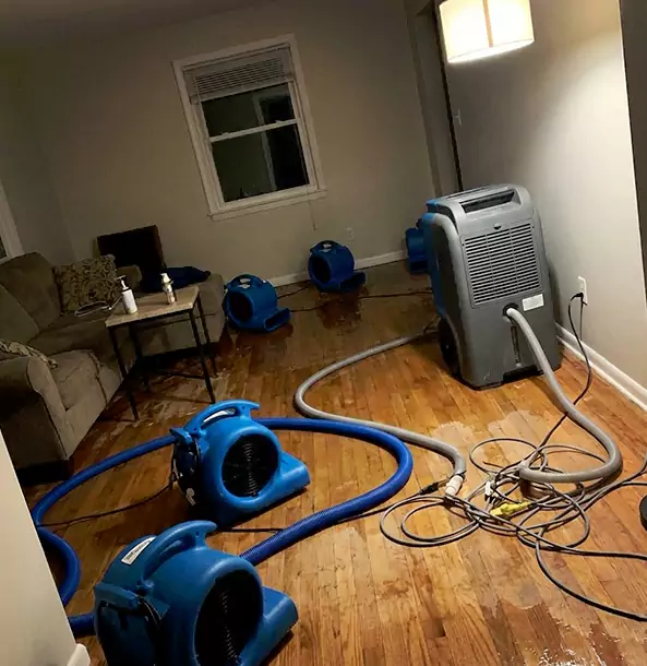 Why Haralson Property Owners Rely on Haralson Restoration Pro for Remediation?