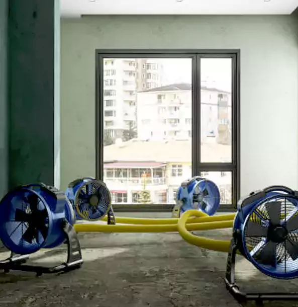 Why Haralson Property Owners Trust Haralson Restoration Pro for Water Damage Drying?