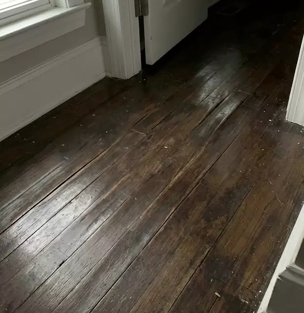 Why Haralson Homeowners Trust Haralson Restoration Pro to Fix Water Damaged Wood?