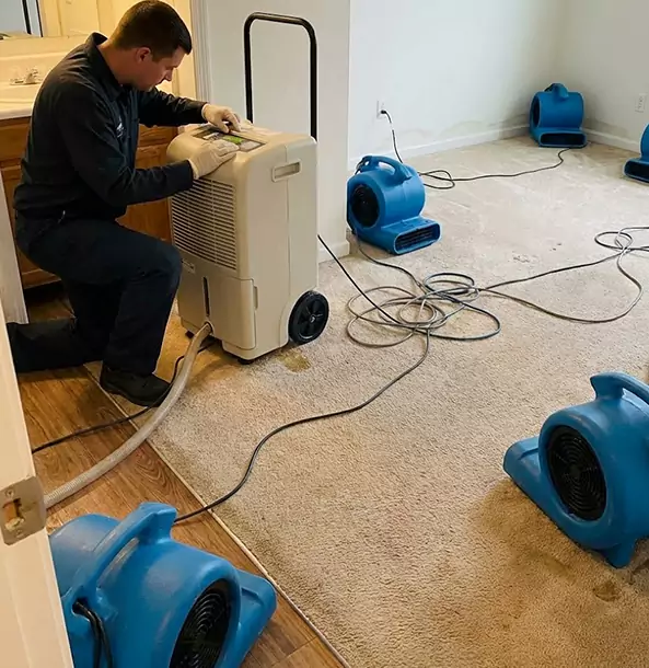 Why Haralson Homeowners and Businesses Trust Haralson Restoration Pro for Carpet Drying?
