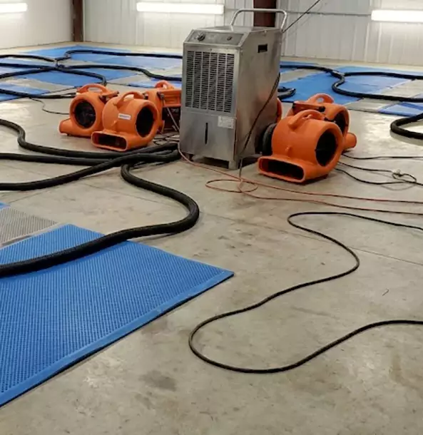 Why Haralson Homeowners and Businesses Choose Haralson Restoration Pro for Wet Carpet Removal?