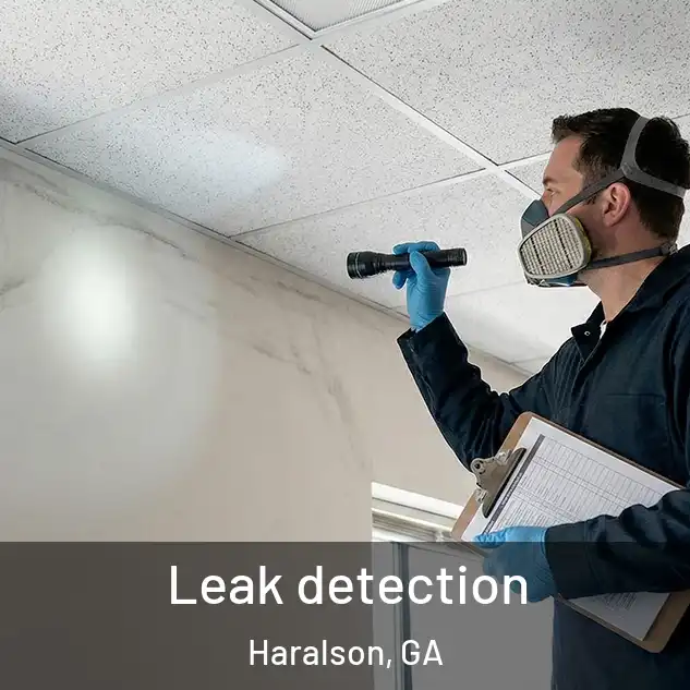  Leak detection Haralson, GA