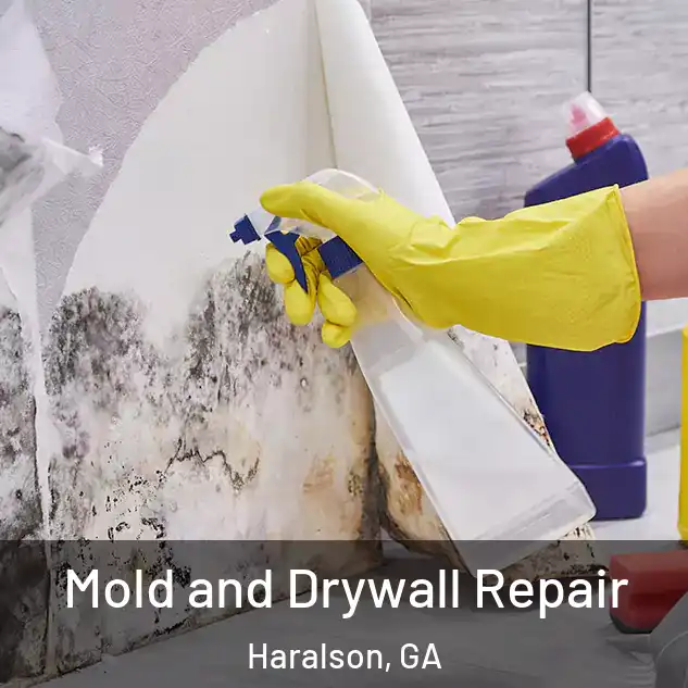  Mold and Drywall Repair Haralson, GA