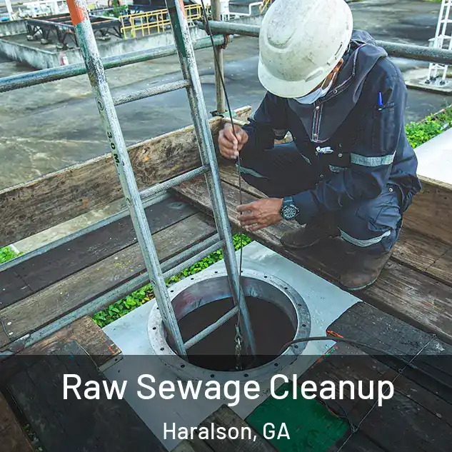  Raw Sewage Cleanup Haralson, GA