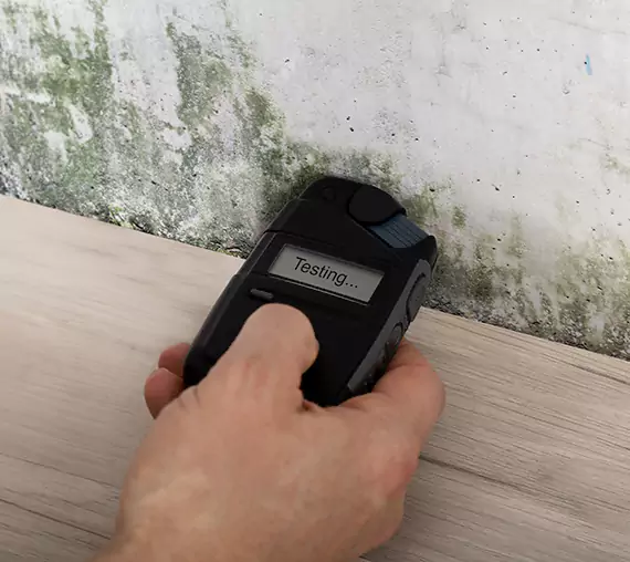 Mold Remediation Service Haralson