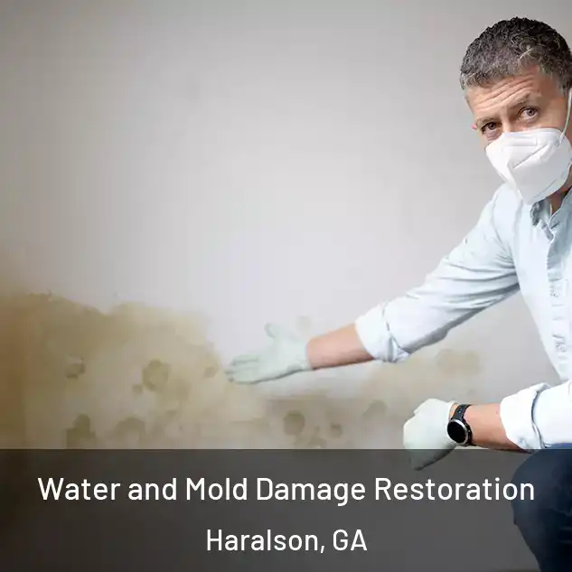  Water and Mold Damage Restoration Haralson, GA