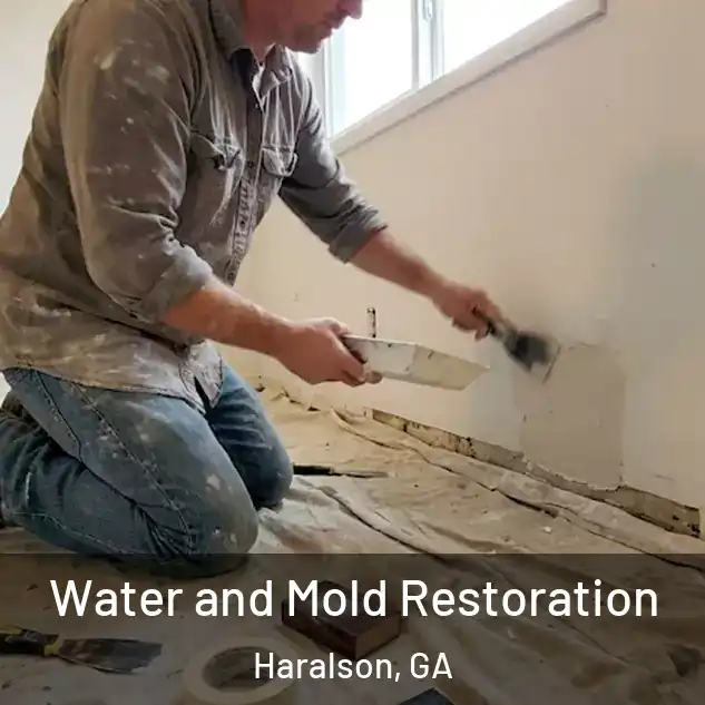  Water and Mold Restoration Haralson, GA