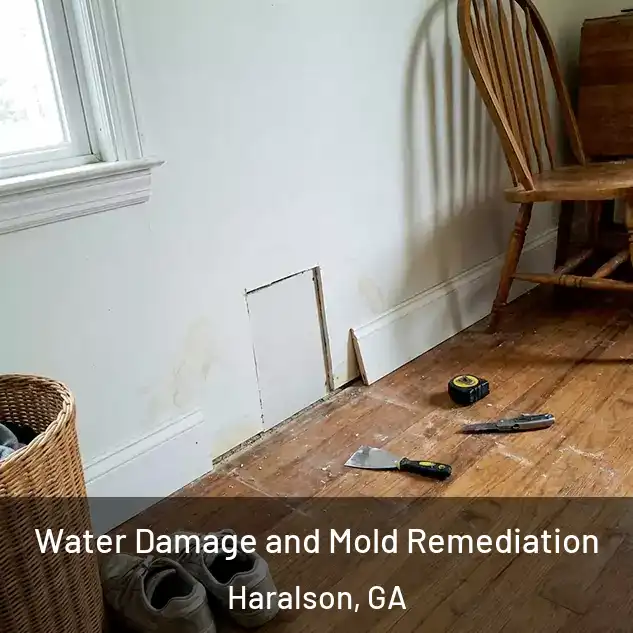  Water Damage and Mold Remediation Haralson, GA