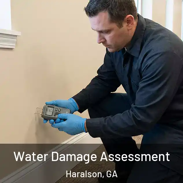  Water Damage Assessment Haralson, GA