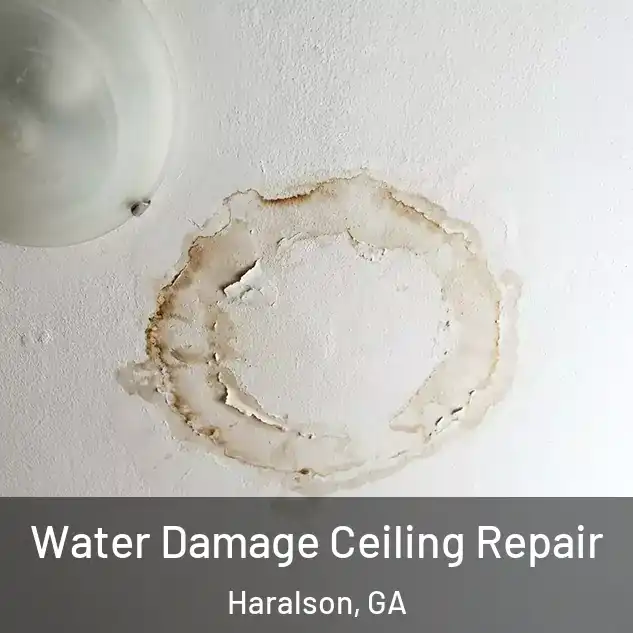  Water Damage Ceiling Repair Haralson, GA