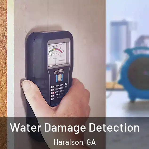 Water Damage Detection Haralson, GA