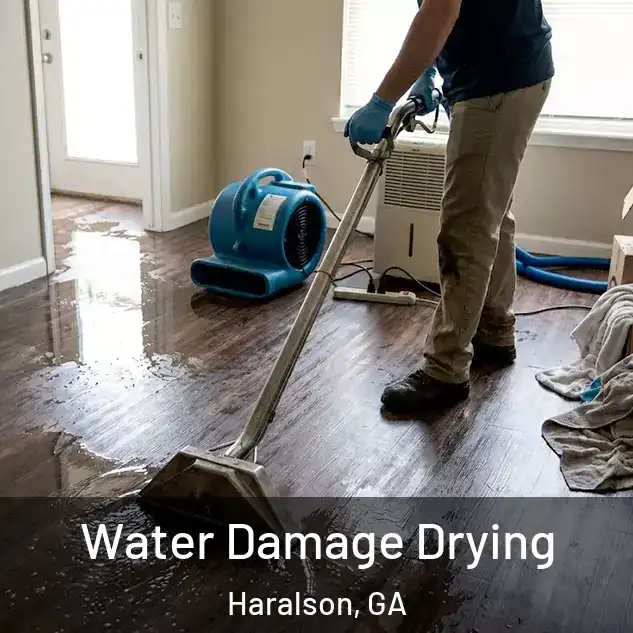  Water Damage Drying Haralson, GA
