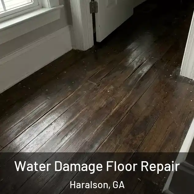  Water Damage Floor Repair Haralson, GA