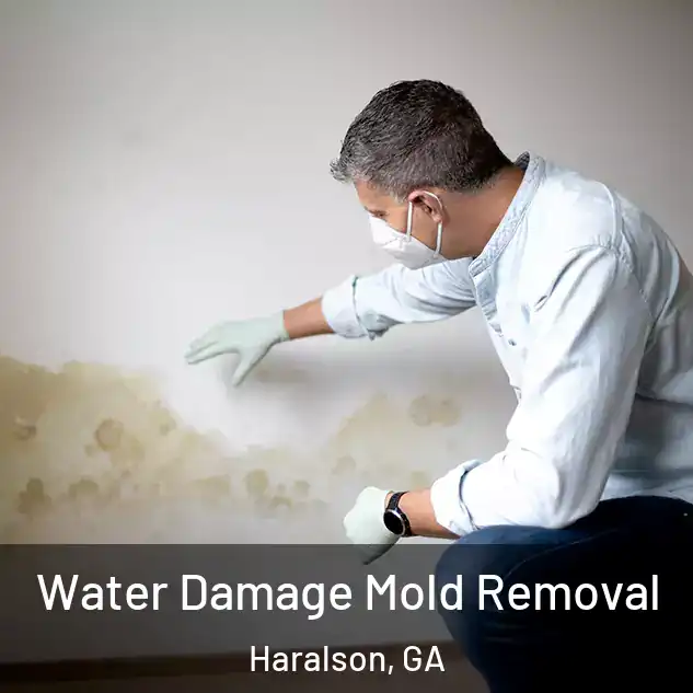  Water Damage Mold Removal Haralson, GA