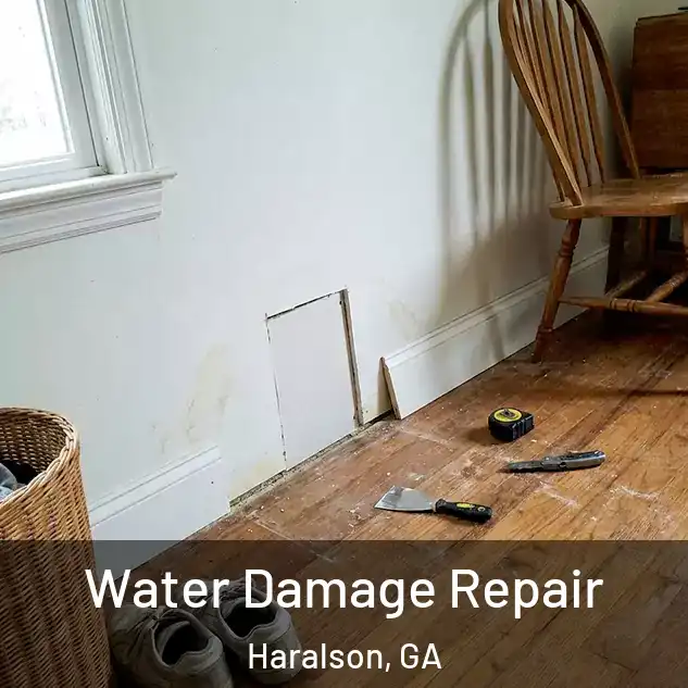  Water Damage Repair Haralson, GA
