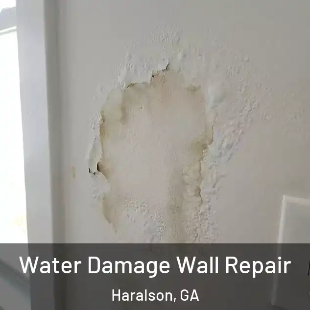  Water Damage Wall Repair Haralson, GA