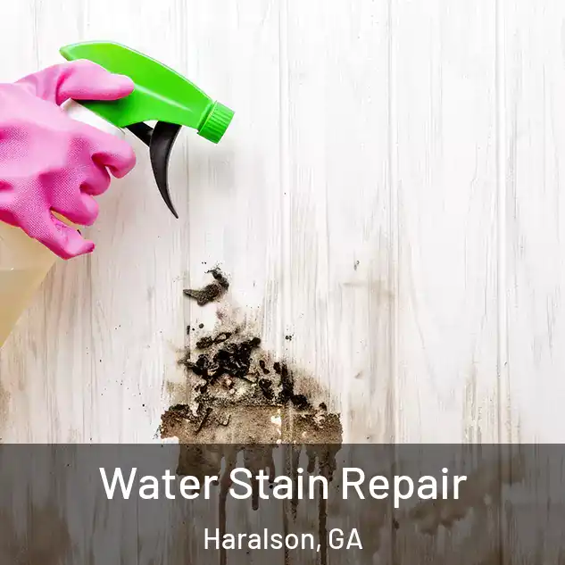  Water Stain Repair Haralson, GA