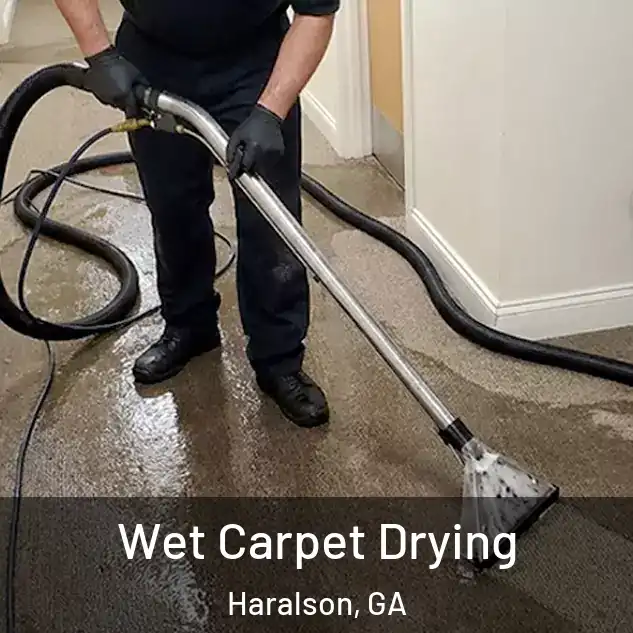 Wet Carpet Drying Haralson, GA